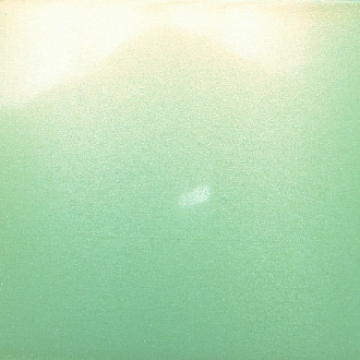 GREEN MICRO PEARL CLEAR TOP COAT