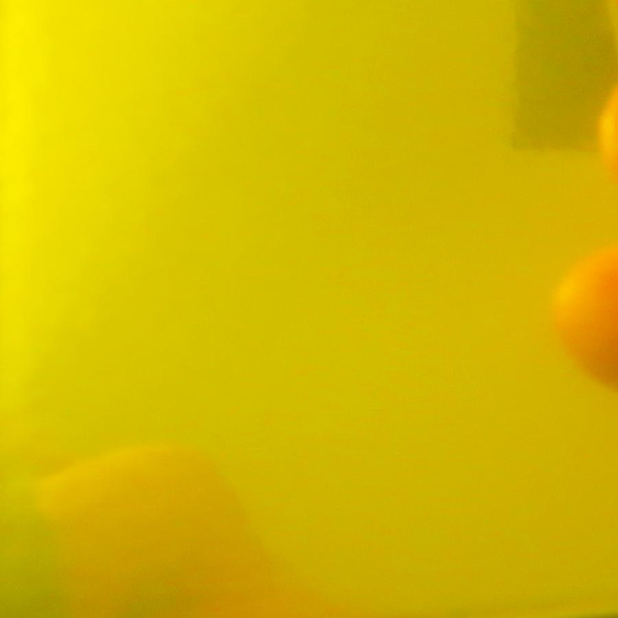 DORMANT RICH GOLD CHROME