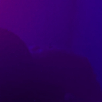 DORMANT ELECTRIC PURPLE