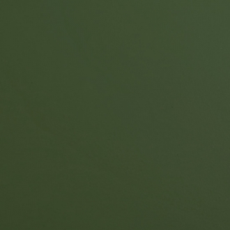 FEDERAL STANDARD 383 GREEN