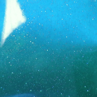 STARLIGHT TEAL (TRANSPARENT)