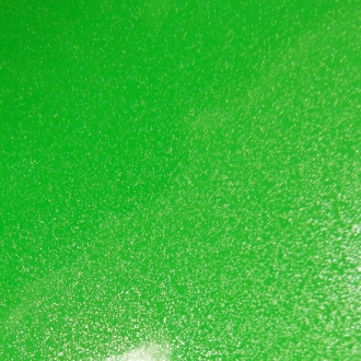 RAPTOR GREEN