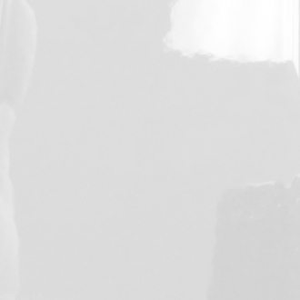 SIGNAL WHITE