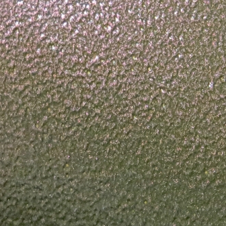 WATERMELON VEIN