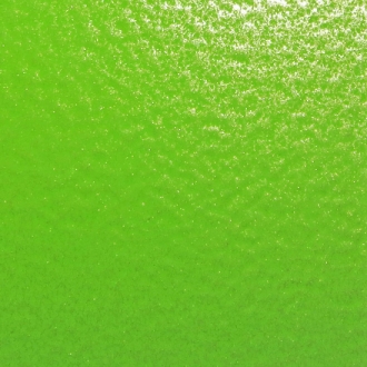 GECKO SKIN