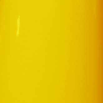 RAL 1007