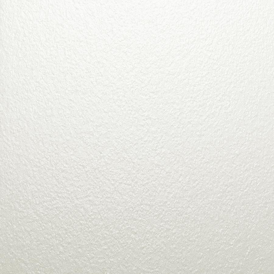 RAL 9016 MINI TEXTURE