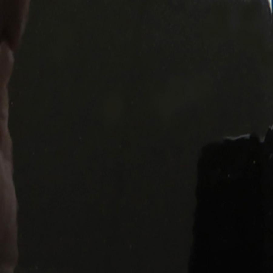 BULLET GLOSS BLACK (Scratch Resistant)