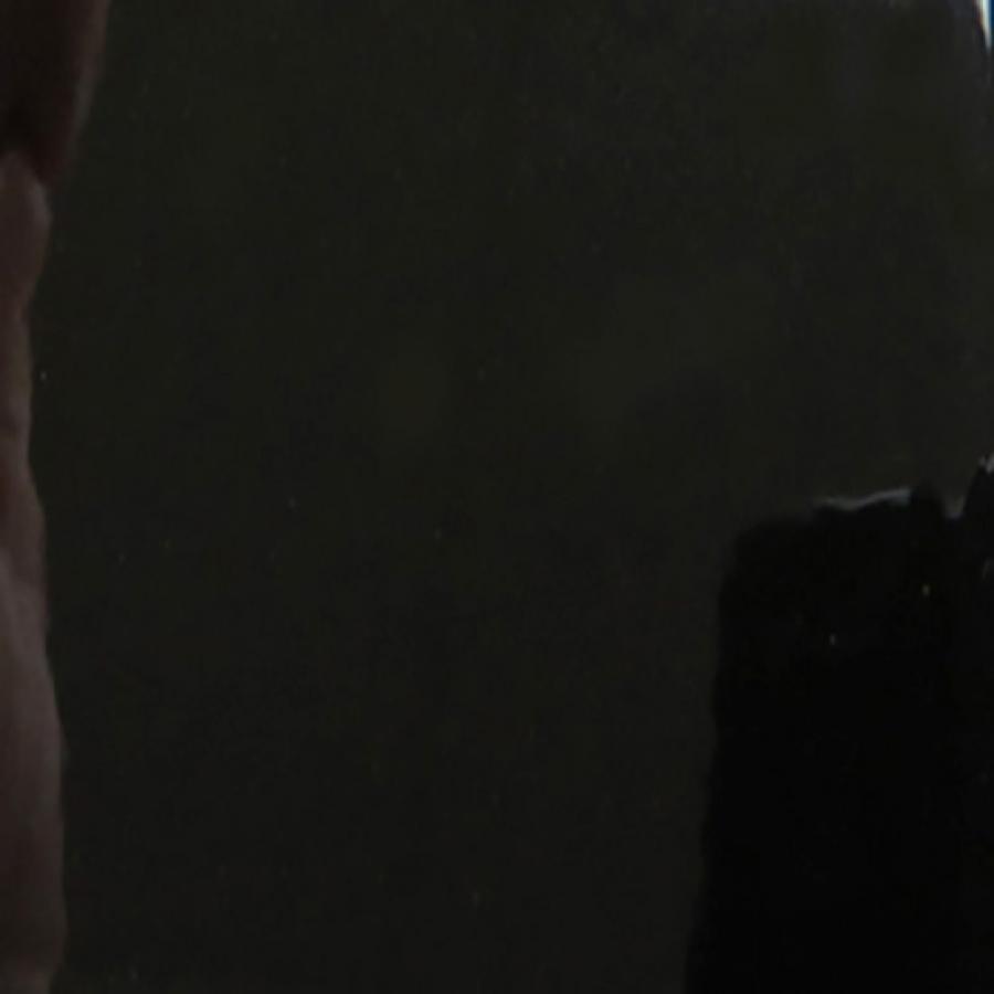 SUPER LOW CURE WET BLACK