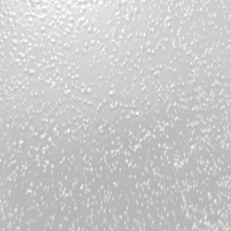 ANTI-SKID CLEAR COAT