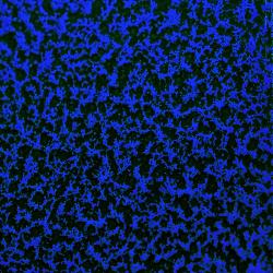 CANDY BLUE 2 COAT KIT (2 lbs.)