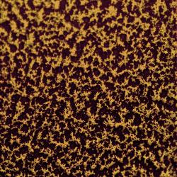 SUN DRENCHED BRONZE 2 COAT KIT (2 lbs.)