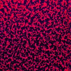 LUMINOUS RED 2 COAT KIT (2 lbs.)