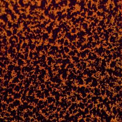 CANDY COPPER 2 COAT KIT (2 lbs.)