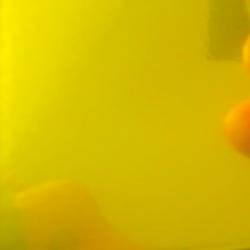 DORMANT RICH GOLD CHROME