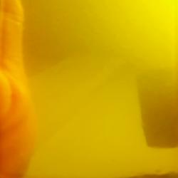 DORMANT 24KT PURE GOLD BAR