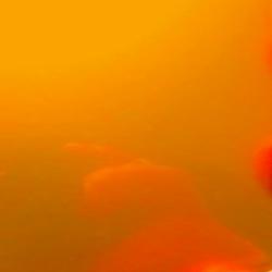 AMG CALIPER GOLD (Dormant)