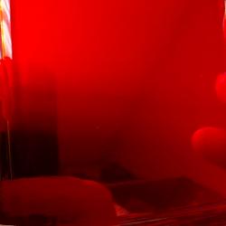 BLOOD RED CHROME (Dormant)