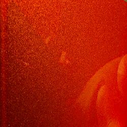 DORMANT RED PEPPER