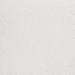 LIGHT GRAY 7035 FINE TEXTURE