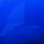 CANDY LIQUID BLUE