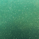 STARLIGHT DARK GREEN (TRANSPARENT)