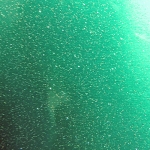 STARLIGHT EMERALD GREEN (TRANSPARENT)