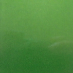 CANDY AVOCADO