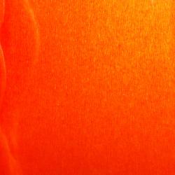 CANDY BURNT ORANGE