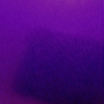 CRAZY CANDY LILAC