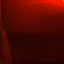 CANDY MAROON (Transparent)