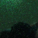 ILLUSION BLACK GREEN