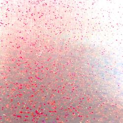 FIRE RED TOP COAT