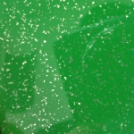 GREEN STERLING BLAZE