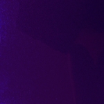 POLARIS MIDNIGHT PURPLE