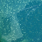 TEAL STERLING BLAZE