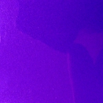 BLUE VIOLET FLIP FLOP