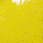 YELLOW STERLING BLAZE