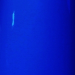 TRAFFIC BLUE