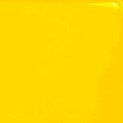 CAN AM YELLOW
