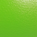 GECKO SKIN