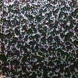 DECO SILVER VEIN