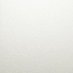 RAL 9016 MINI TEXTURE