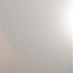 RAL 9022