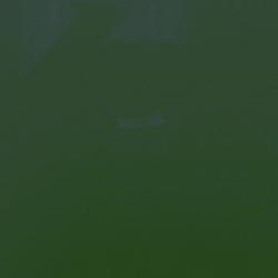 RAL 6028 (AAMA 2604)