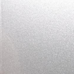 FORD ICONIC SILVER METALLIC