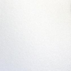 AAMA 2604 WHITE NICKEL