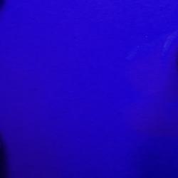 PANTONE REFLEX BLUE (SD)