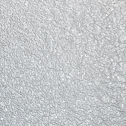 ENGINE SILVER WRINKLE