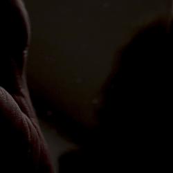 OEM 100% MIRROR BLACK (Anti-Scratch)